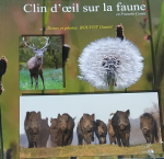 Clin d'œil sur la faune en Franche-Comté